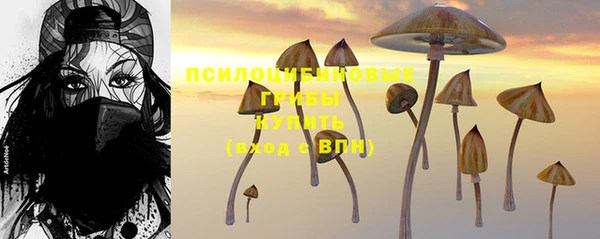 прущая мука Нефтегорск