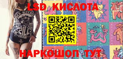 прущие грибы Пыть-Ях