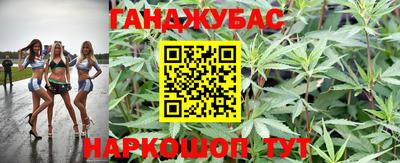 твердый Пугачёв