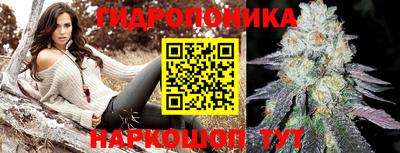 шишки Пушкино