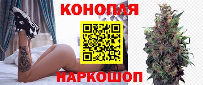 прущие грибы Пыть-Ях