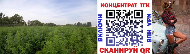 ТГК THC oil  купить закладку  Тара 