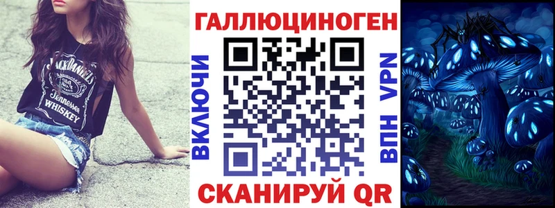 Галлюциногенные грибы Psilocybe  KRAKEN   Тара 