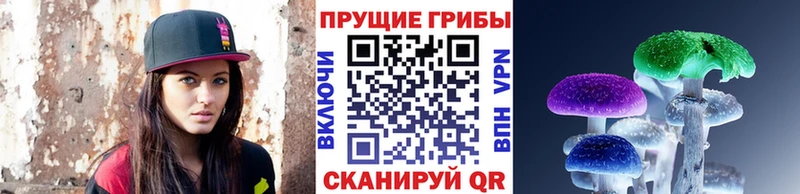 Псилоцибиновые грибы GOLDEN TEACHER Тара
