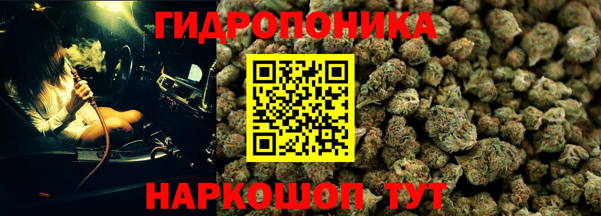 Марихуана VHQ  Марихуана гибрид  МАРИХУАНА гибрид  Вход с VPN  Бошки марихуана THC 21%  Тара 